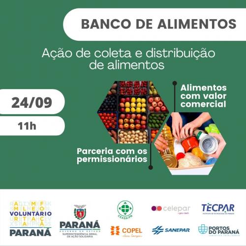 voluntariado