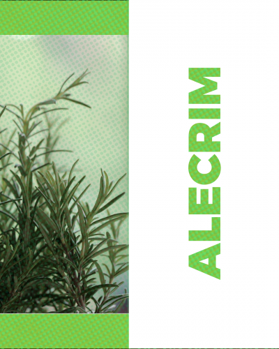 ALECRIM