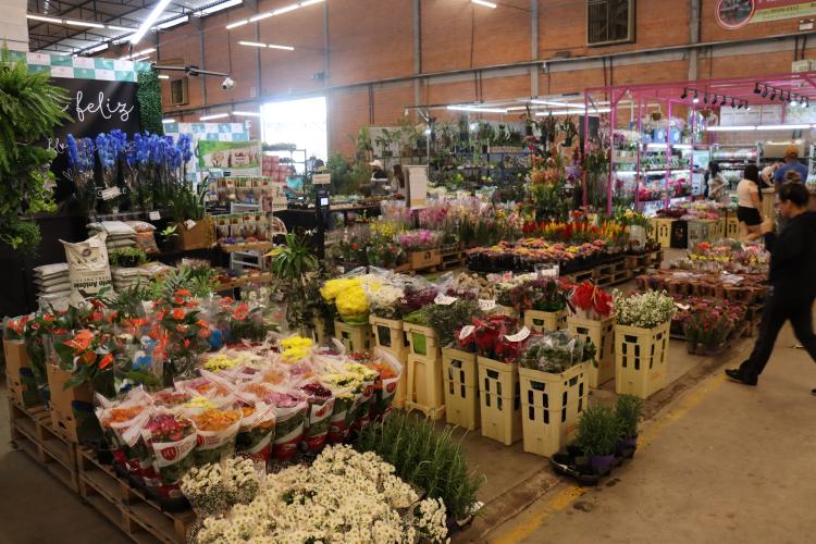 flores