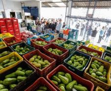 Governo comemora um ano do Banco de Alimentos da Ceasa Paraná