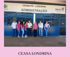 Outubro Rosa