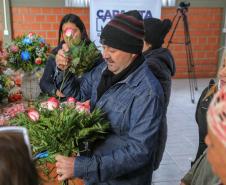 curso flores