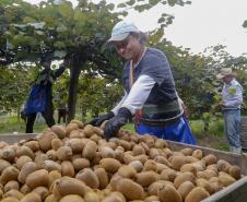 PREÇO DAS FRUTAS 30%