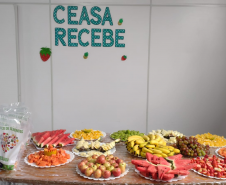 Ceasa Recebe