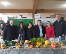Feira de Serviços tatuquara