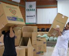 Arrecadação de alimentos na Ceasa Curitiba supera expectativa e chega a 33 toneladas