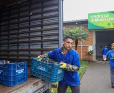 Arrecadação de alimentos na Ceasa Curitiba supera expectativa e chega a 33 toneladas