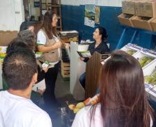 Ceasa Curitiba inicia campanha de conscientização de ambiente limpo