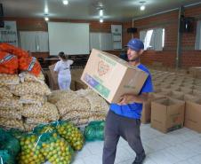 Ceasa Curitiba doa mais 5 toneladas de alimentos para municípios catarinenses