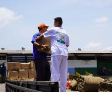 Ceasa Curitiba doa mais 5 toneladas de alimentos para municípios catarinenses