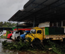 temporal londrina 2024