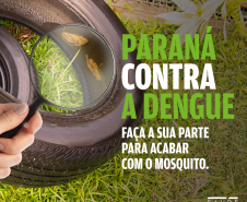 Paraná Contra a Dengue 