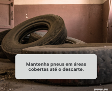 Paraná Contra a Dengue 