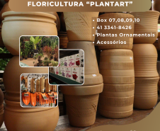 MERCADO DE FLORES