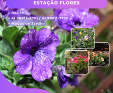 MERCADO DE FLORES