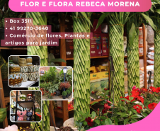 flores