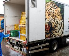 Parceria entre IAT e Ceasa ajuda a matar a fome de animais silvestres em criadouros