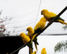 Parceria entre IAT e Ceasa ajuda a matar a fome de animais silvestres em criadouros