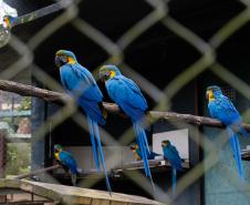 Parceria entre IAT e Ceasa ajuda a matar a fome de animais silvestres em criadouros