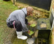 Parceria entre IAT e Ceasa ajuda a matar a fome de animais silvestres em criadouros