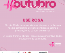 Ceasa Curitiba terá ações da Campanha Outubro Rosa