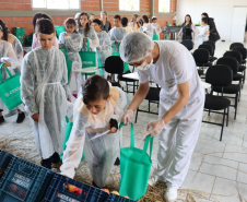 DIA MUNDIAL DA ALIMENTAÇÃO 2024