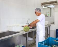 O governador Carlos Massa Ratinho Junior e o ministro do Desenvolvimento Agrário e Agricultura Familiar, Paulo Teixeira, visitam a Ceasa Curitiba nesta sexta-feira (08).