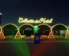 COLHEITA DE NATAL