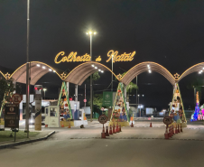 colheita de natal