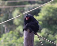 Ceasa vai doar alimentos para o Zoológico de Curitiba