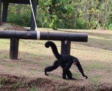 Ceasa vai doar alimentos para o Zoológico de Curitiba