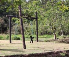 Ceasa vai doar alimentos para o Zoológico de Curitiba