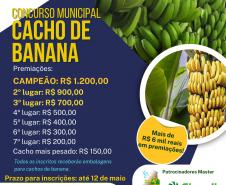 Concurso premiou os melhores cachos de banana, destacando a qualidade da produção no Vale do Ivaí.