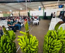 12º Encontro Regional de Produtores de Banana