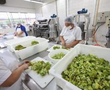 Ceasa Paraná inspira criação de projeto para combater a fome no país