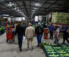Dia do Agricultor: Ceasa Paraná entrega kit de cuidados aos produtores rurais