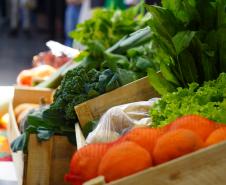 Sistema Estadual de Agricultura divulga ações durante o Dia Mundial da Alimentação