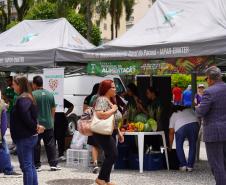 Sistema Estadual de Agricultura divulga ações durante o Dia Mundial da Alimentação