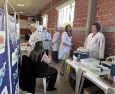 Circuito da Saúde faz mais de 500 atendimentos em ação na Ceasa Curitiba