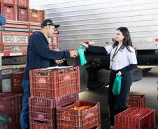 Ceasa Limpa, campanha de ações sustentáveis no mercado atacadista