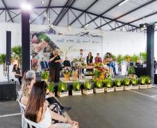 Casamento coletivo reúne 403 casais e mais de 4 mil pessoas na Ceasa Curitiba