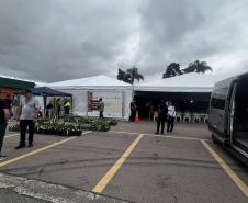 Casamento coletivo reúne 403 casais e mais de 4 mil pessoas na Ceasa Curitiba