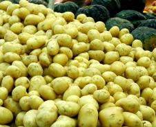 Setor de hortigranjeiros do Paraná começa 2026 com preços mais acessíveis, segundo Deral