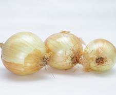 Setor de hortigranjeiros do Paraná começa 2026 com preços mais acessíveis, segundo Deral