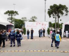 Ceasa Curitiba tem dia de serviços e orientações para as mulheres