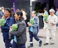 Ceasa Curitiba tem dia de serviços e orientações para as mulheres