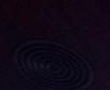 Ceasa participa do evento “Paraná pelas Mulheres”