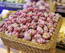 Ceasa Paraná participa da ExpoApras 2026 e fortalece conexão com o setor supermercadista