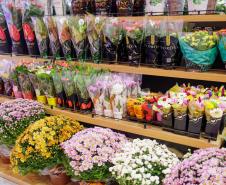 Ceasa Paraná participa da ExpoApras 2026 e fortalece conexão com o setor supermercadista