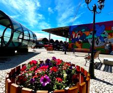 Da Rua XV para a Ceasa: um tributo à identidade curitibana